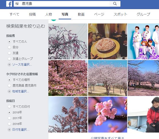 もうすぐ鹿児島も桜の季節だから、オススメサイト５選と情報収集のコツを伝授する。