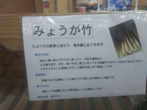 【インスタ映え】インスタポイントと新種の竹を吉田町本城で新発見！