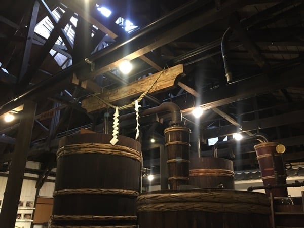 IMG_6270.JPG IMG 6270