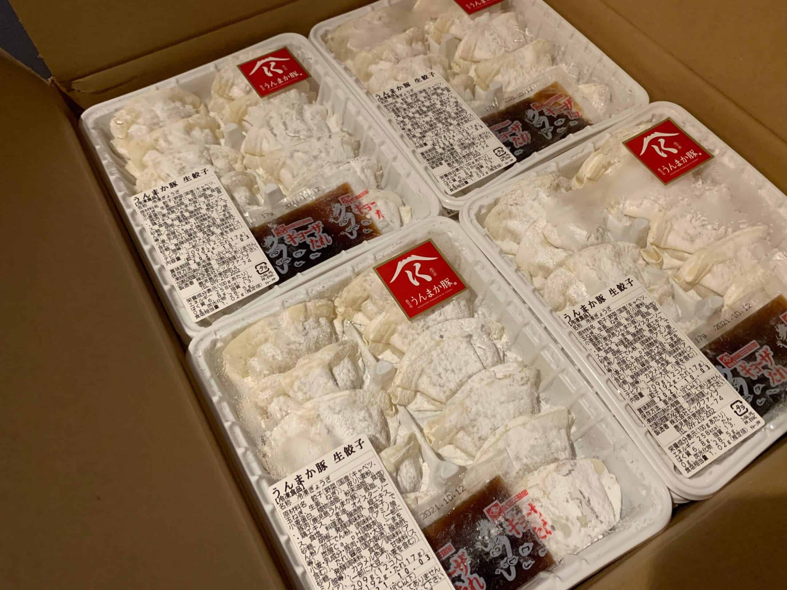 日本中の冷蔵庫に「鹿児島うんまか豚生餃子」を常備したらみんな幸せになるのでは説